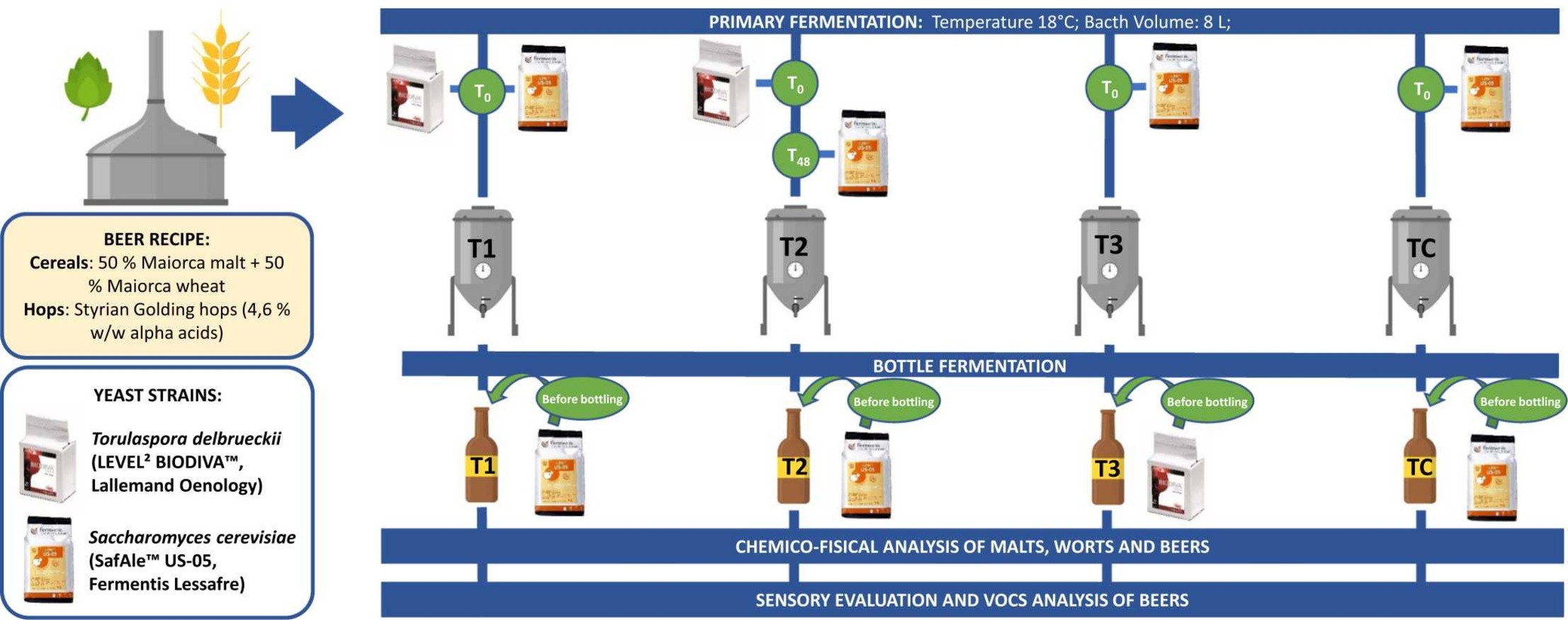 1-s2.0-S088915752501155X-ga1_lrg